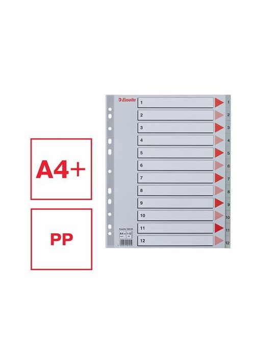 ESSELTE Regiszter, műanyag, A4 Maxi, 1-12, ESSELTE, szürke