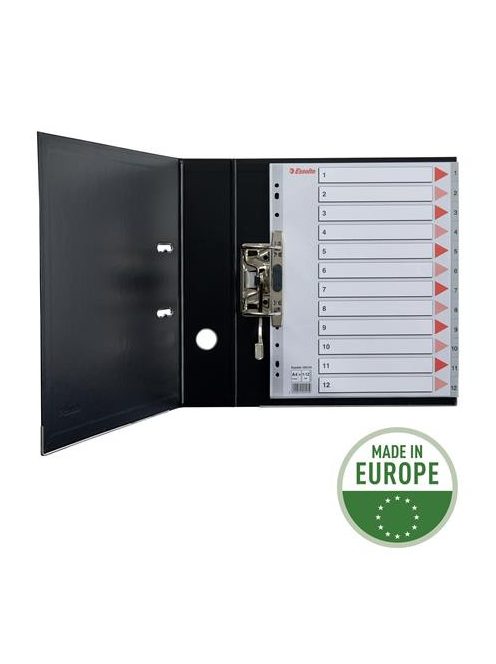 ESSELTE Regiszter, műanyag, A4 Maxi, 1-12, ESSELTE, szürke