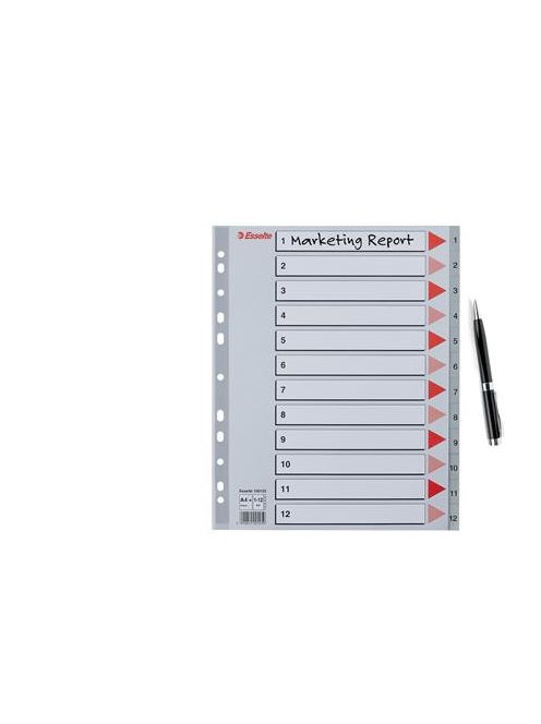 ESSELTE Regiszter, műanyag, A4 Maxi, 1-12, ESSELTE, szürke