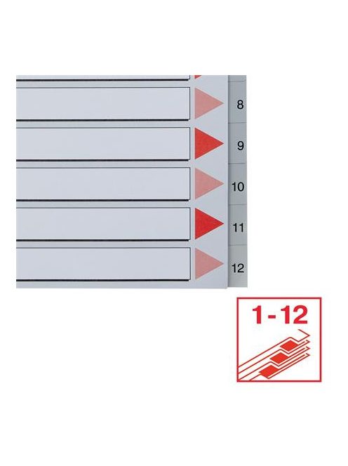 ESSELTE Regiszter, műanyag, A4 Maxi, 1-12, ESSELTE, szürke