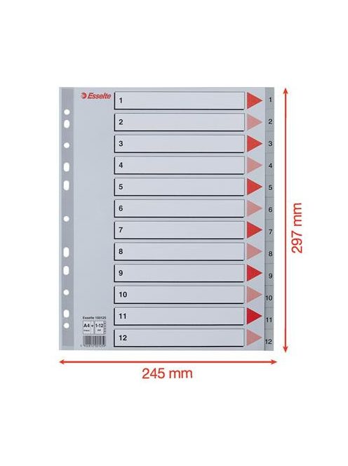 ESSELTE Regiszter, műanyag, A4 Maxi, 1-12, ESSELTE, szürke