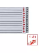 ESSELTE Regiszter, műanyag, A4 Maxi, 1-31, ESSELTE, szürke