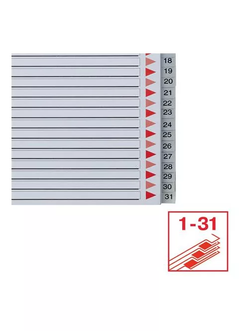 ESSELTE Regiszter, műanyag, A4 Maxi, 1-31, ESSELTE, szürke