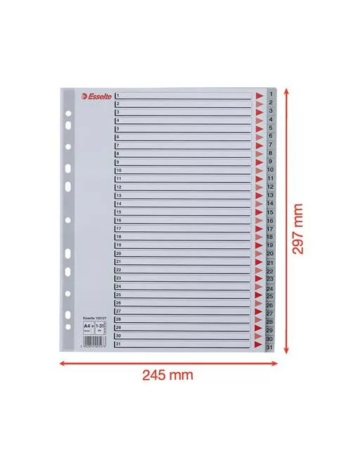 ESSELTE Regiszter, műanyag, A4 Maxi, 1-31, ESSELTE, szürke