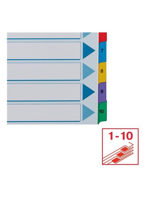 ESSELTE Regiszter, karton, A4, 1-10, ESSELTE "Mylar"