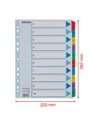 ESSELTE Regiszter, karton, A4, 1-10, ESSELTE "Mylar"
