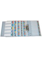 ESSELTE Regiszter, karton, A4, 1-10, ESSELTE "Mylar"