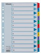 ESSELTE Regiszter, karton, A4, 1-12, ESSELTE "Mylar"