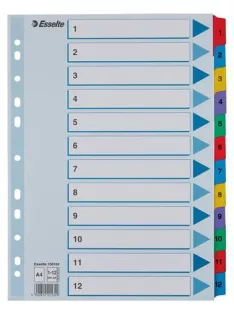   ESSELTE Regiszter, karton, A4, 1-12, ESSELTE "Mylar"