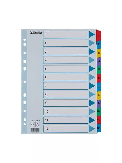 ESSELTE Regiszter, karton, A4, 1-12, ESSELTE "Mylar"