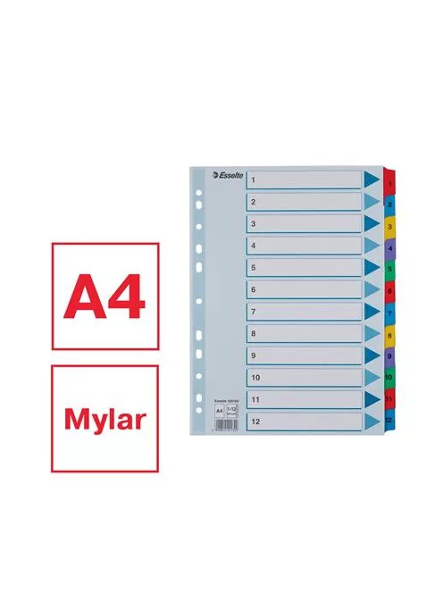 ESSELTE Regiszter, karton, A4, 1-12, ESSELTE "Mylar"