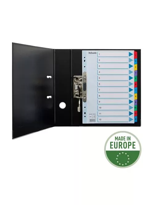 ESSELTE Regiszter, karton, A4, 1-12, ESSELTE "Mylar"