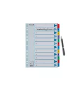 ESSELTE Regiszter, karton, A4, 1-12, ESSELTE "Mylar"