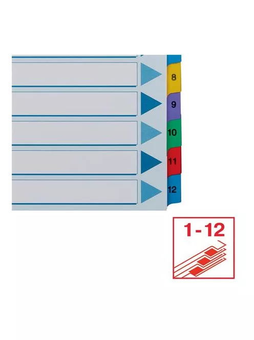 ESSELTE Regiszter, karton, A4, 1-12, ESSELTE "Mylar"