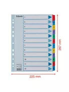 ESSELTE Regiszter, karton, A4, 1-12, ESSELTE "Mylar"