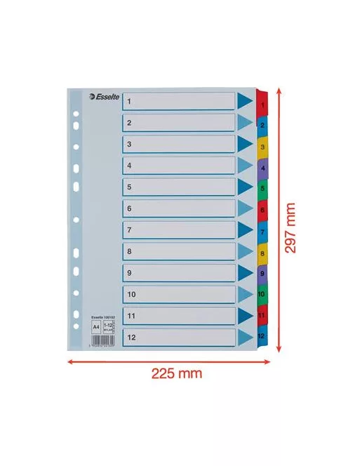 ESSELTE Regiszter, karton, A4, 1-12, ESSELTE "Mylar"