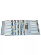 ESSELTE Regiszter, karton, A4, 1-12, ESSELTE "Mylar"