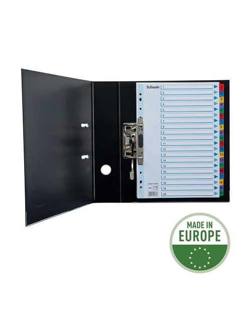 ESSELTE Regiszter, karton, A4, 1-20, ESSELTE "Mylar"