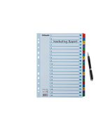 ESSELTE Regiszter, karton, A4, 1-20, ESSELTE "Mylar"