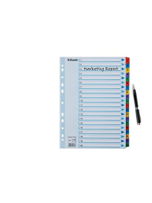 ESSELTE Regiszter, karton, A4, 1-20, ESSELTE "Mylar"