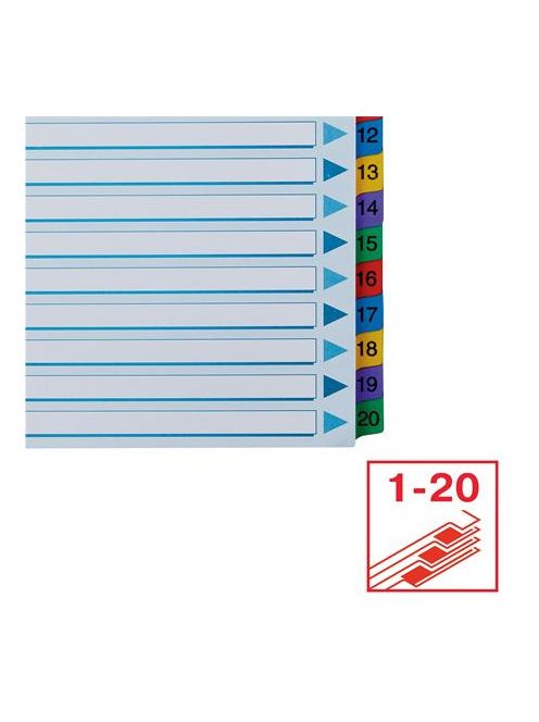 ESSELTE Regiszter, karton, A4, 1-20, ESSELTE "Mylar"