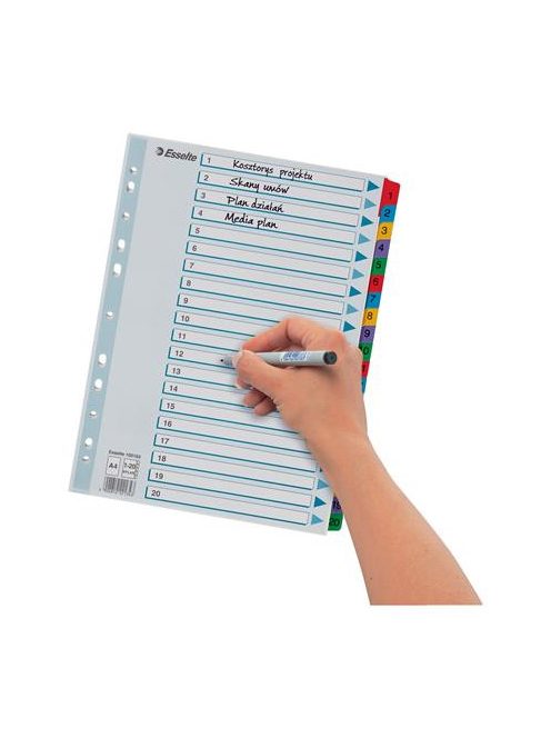 ESSELTE Regiszter, karton, A4, 1-20, ESSELTE "Mylar"