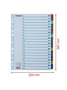 ESSELTE Regiszter, karton, A4, 1-20, ESSELTE "Mylar"