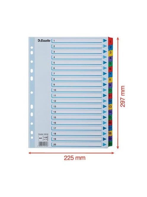 ESSELTE Regiszter, karton, A4, 1-20, ESSELTE "Mylar"