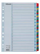 ESSELTE Regiszter, karton, A4, 1-31, ESSELTE "Mylar"