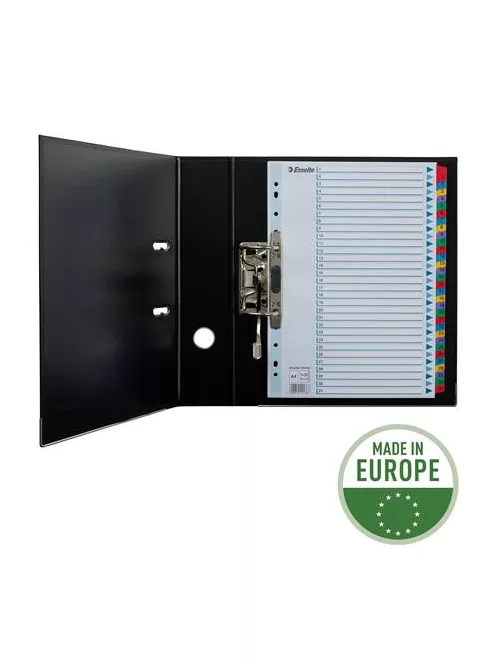 ESSELTE Regiszter, karton, A4, 1-31, ESSELTE "Mylar"