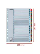 ESSELTE Regiszter, karton, A4, 1-31, ESSELTE "Mylar"