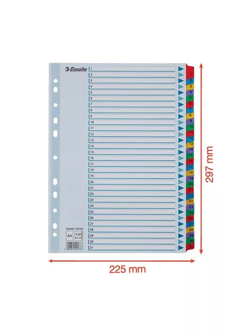 ESSELTE Regiszter, karton, A4, 1-31, ESSELTE "Mylar"