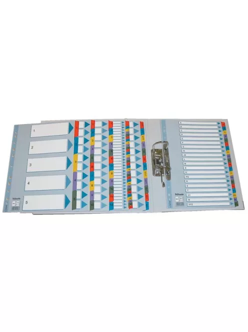 ESSELTE Regiszter, karton, A4, 1-31, ESSELTE "Mylar"