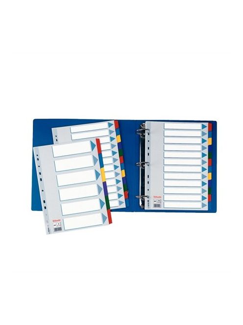 ESSELTE Regiszter, laminált karton, A4, 6 részes, ESSELTE "Mylar"