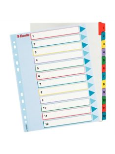   ESSELTE Regiszter, laminált karton, A4 Maxi, 1-12, újraírható, ESSELTE