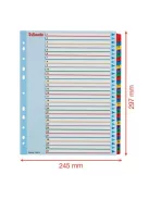 ESSELTE Regiszter, laminált karton, A4 Maxi, 1-31, újraírható, ESSELTE
