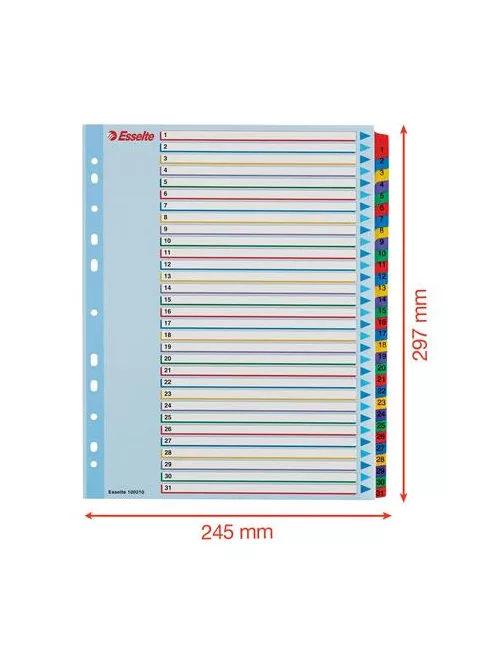 ESSELTE Regiszter, laminált karton, A4 Maxi, 1-31, újraírható, ESSELTE