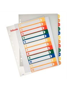   ESSELTE Regiszter, műanyag, A4 Maxi, 1-12, nyomtatható, ESSELTE, áttetsző