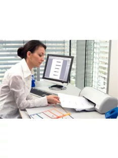   ESSELTE Regiszter, műanyag, A4 Maxi, 1-12, nyomtatható, ESSELTE, áttetsző