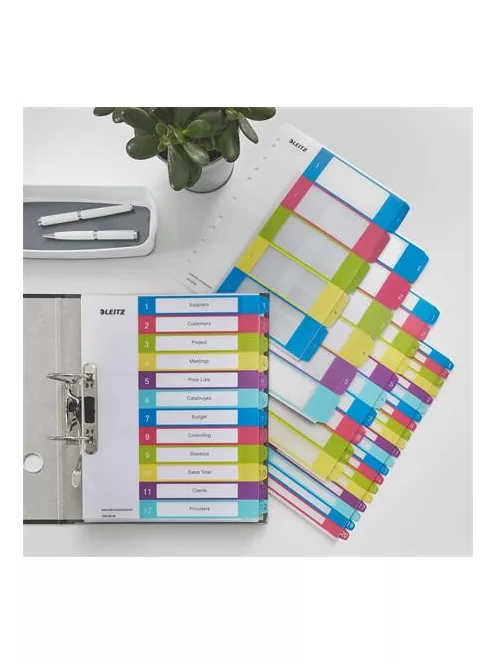 LEITZ Regiszter, műanyag, A4 Maxi, 1-20, LEITZ "Wow"