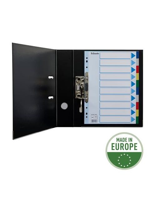 ESSELTE Regiszter, műanyag, A4, 10 részes, ESSELTE