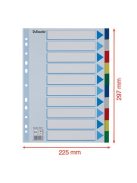 ESSELTE Regiszter, műanyag, A4, 10 részes, ESSELTE