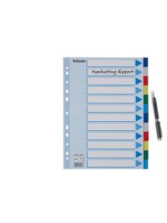 ESSELTE Regiszter, műanyag, A4, 12 részes, ESSELTE