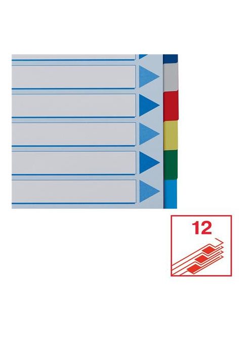 ESSELTE Regiszter, műanyag, A4, 12 részes, ESSELTE