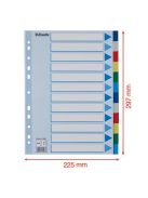 ESSELTE Regiszter, műanyag, A4, 12 részes, ESSELTE