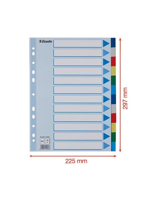 ESSELTE Regiszter, műanyag, A4, 12 részes, ESSELTE