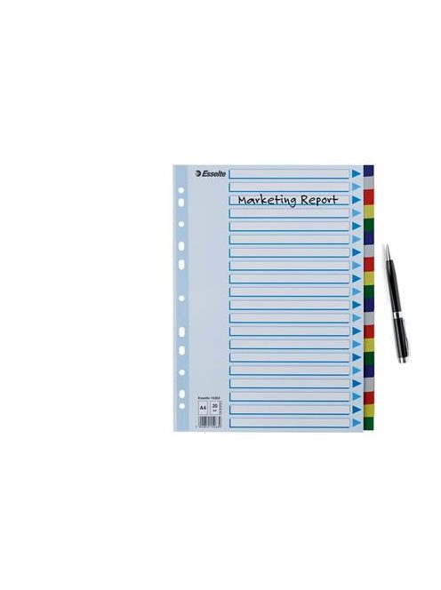 ESSELTE Regiszter, műanyag, A4, 20 részes, ESSELTE