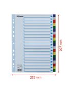 ESSELTE Regiszter, műanyag, A4, 20 részes, ESSELTE