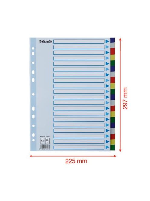 ESSELTE Regiszter, műanyag, A4, 20 részes, ESSELTE