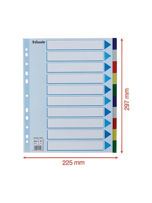 ESSELTE Regiszter, műanyag, A4 Maxi, 10 részes, ESSELTE